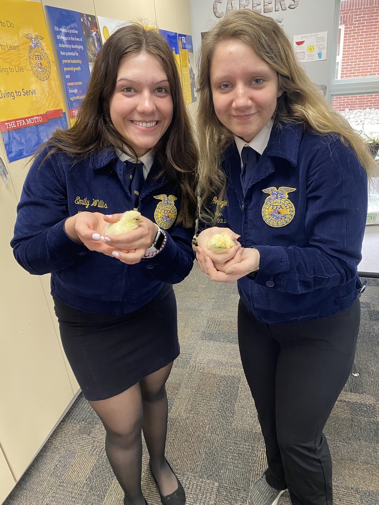 Emily and Wendy show off their Animal Science Chick on Blue and Gold Day